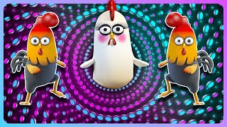 Komik Tavuk Dansı Ve Komik Horoz Dans Videoları Hayvan Dans Videoları
