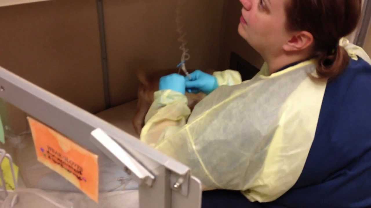 Wiggly Puppy in Isolation