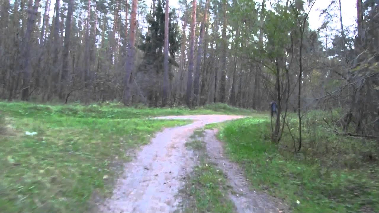 Мотовел и Deluxe HD Shifter Kit II (Прогулка по лесу)