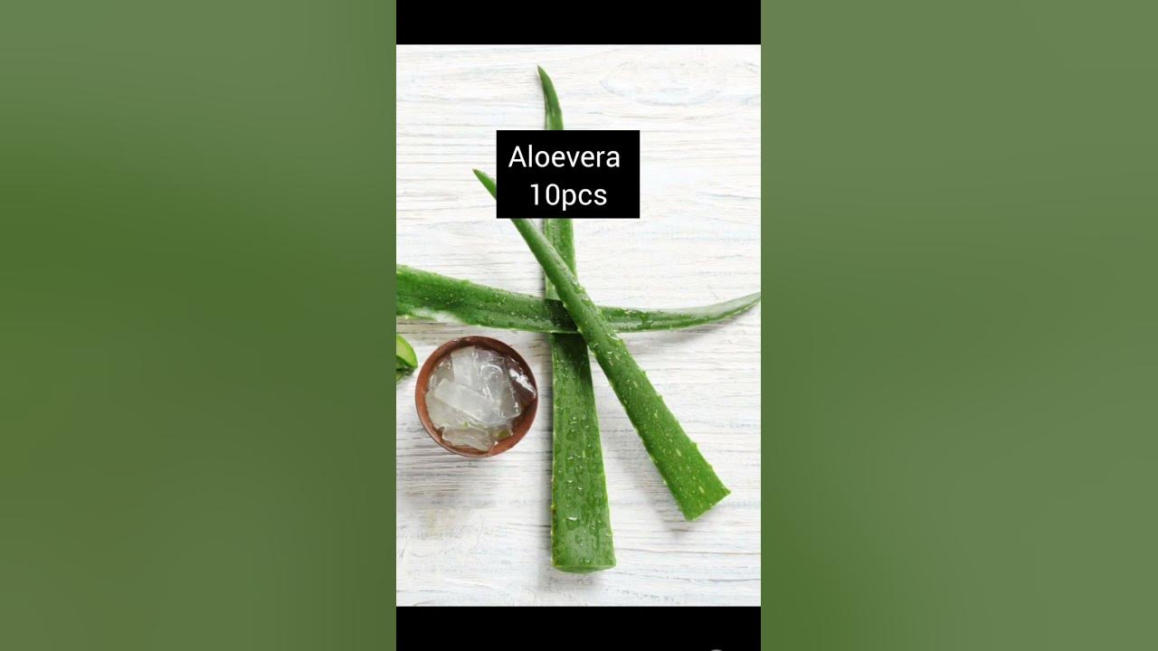 hair-oil-making-tips-for-regrow-lost-hairs-ytubeshorts-viral-youtube