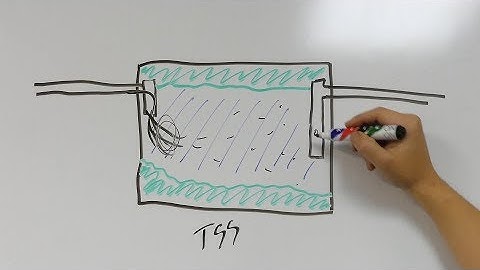 The Importance of Effluent Filters