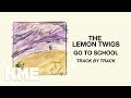 The Lemon Twigs talk NME through their latest album 'Go to School'