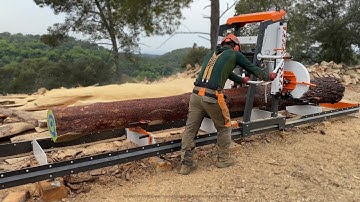 0km wood production | Transition from tree to ecological architecture