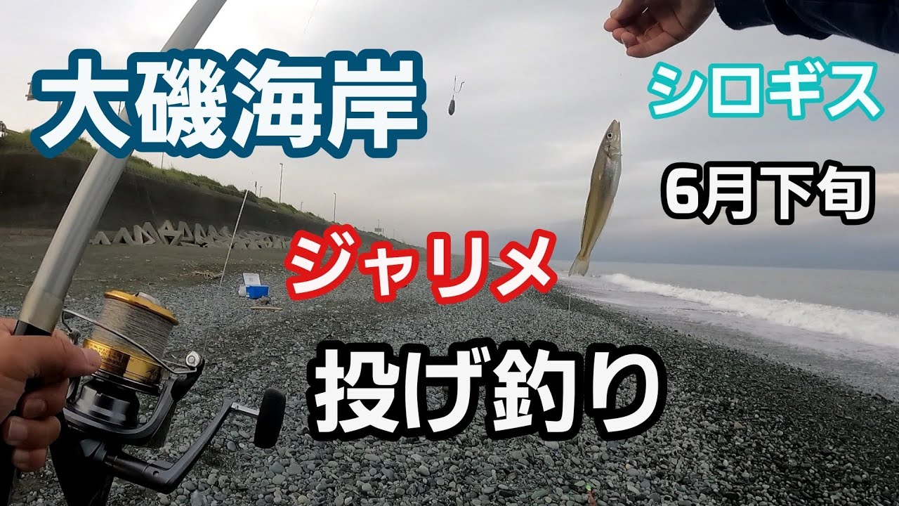 【大磯海岸】夕まずめ シロギス ジャリメ投げ釣り 調査 2023年6月下旬 中潮 - YouTube