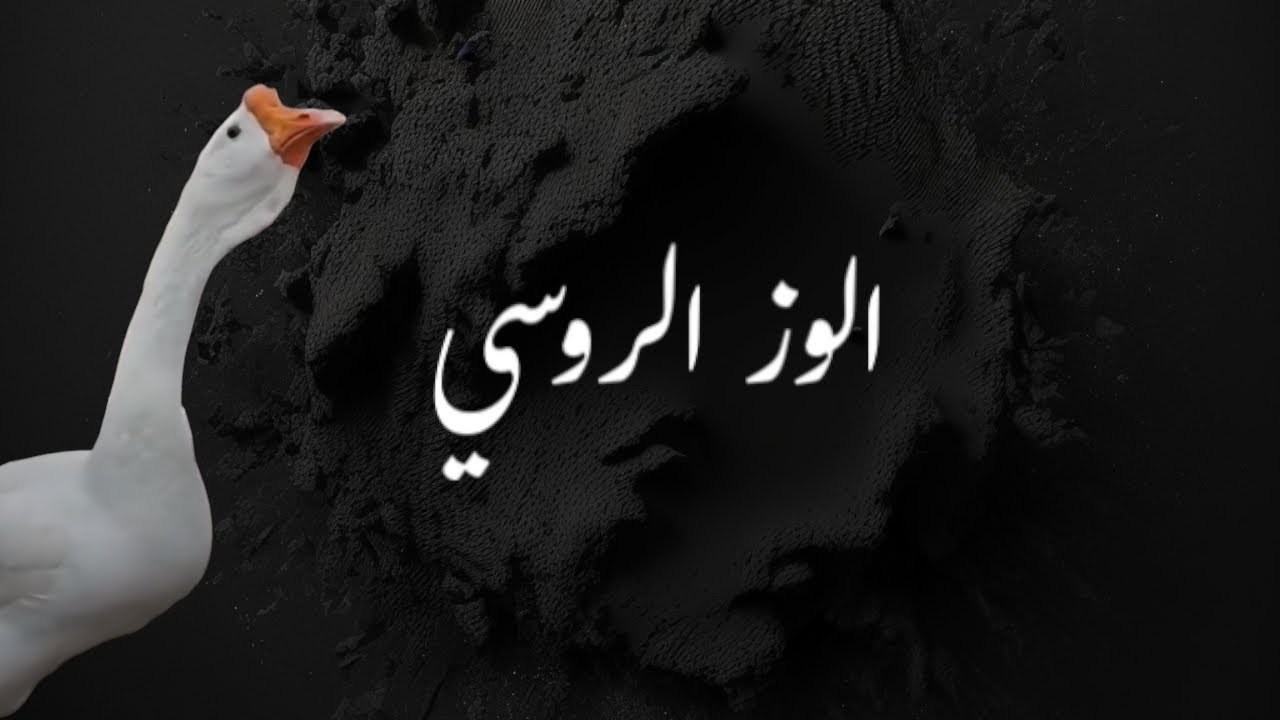 الوز الروسي في مصر