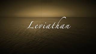 Leviathan Project-Leviathan