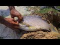 OMG ! Catching Giant Fish From Underground Secret Hole On Dry Season In 2021 By Element Fishing