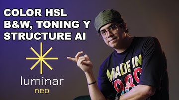 Tutorial de COLOR y BLANCO y NEGRO en Luminar Neo parte 2