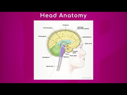 Video: Ce este un cap?