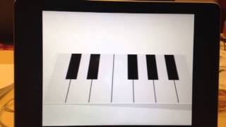 PIAirNO: Virtual Prototype
