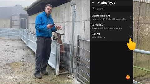 How to record matings on the Sheep Ireland