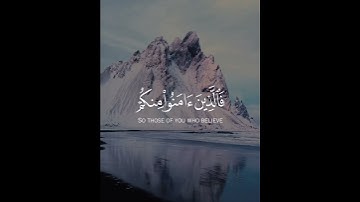 ءامنوا بالله ورسوله #تلاوة_خاشعة #القرآن_الكريم #قرآن #alquran #اكسبلور #alhamdulillah #راحة_نفسية