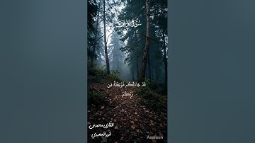 تلاوة قديمة في ما تيسر من سورة يونس بصوت جميل وتلاوة عطرة للقارئ محمد بن أنور الجعيدي.