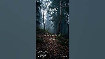 تلاوة قديمة في ما تيسر من سورة يونس بصوت جميل وتلاوة عطرة للقارئ محمد بن أنور الجعيدي.