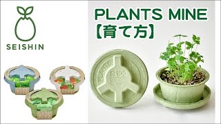 PLANTS MINEの始め方