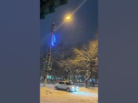 Погода щедрая🐊🌍 - YouTube