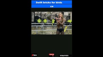 Swift bricks for birds campaign to be debated in Parliament|#shorts