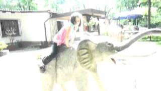 Tatjanaelefant.mov