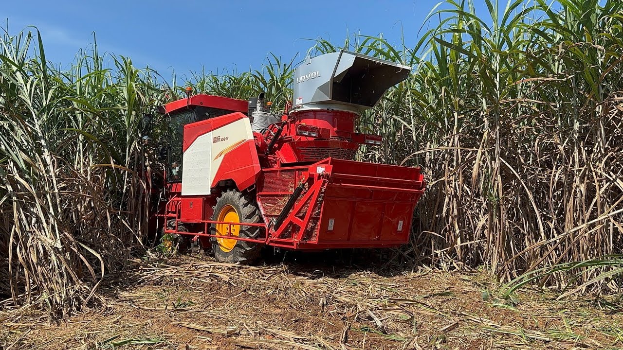 มาตัดอ้อยกับรถตัดอ้อย LOVOL กันครับ ฝ่ายขาย 094-2235120