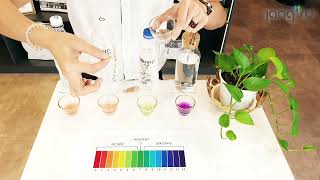 Ph Test Demo English