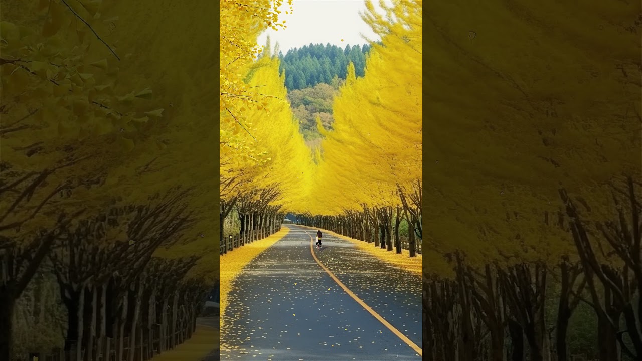 Anyone who thinks fallen leaves are dead has never watched them dancing on a windy day. 