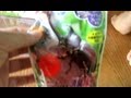 カブトムシ 飼い方 成虫 コバエ えさ 虫かご
