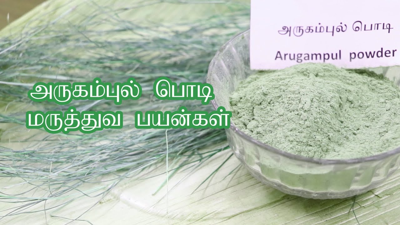 Arugampul Powder Medicinal Benefits  Govt Yoga and Naturopathy College  TAMPCOL