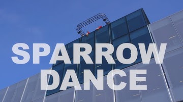 Sparrow Dance at BLOX - Copenhagen