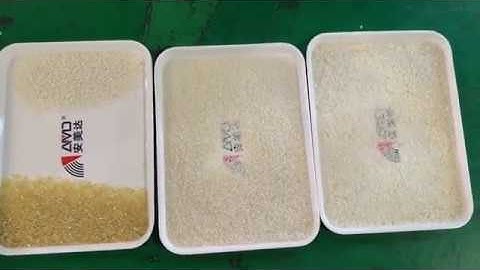 AMD RG Rice Color Sorter