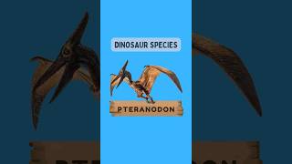 Majestic Pteranodons Ancient Sky Kings Of Prehistory