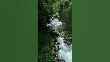 القرآن الكريم #اكسبلور #المصحف #تلاوات_رائعة #لايك #حالات_واتس