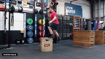 SA DB Box Step Up | TTT Exercise Index