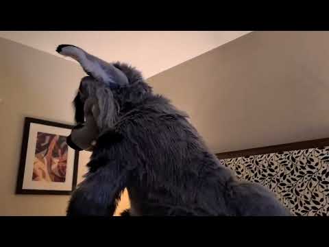 Fursuit farts (9)