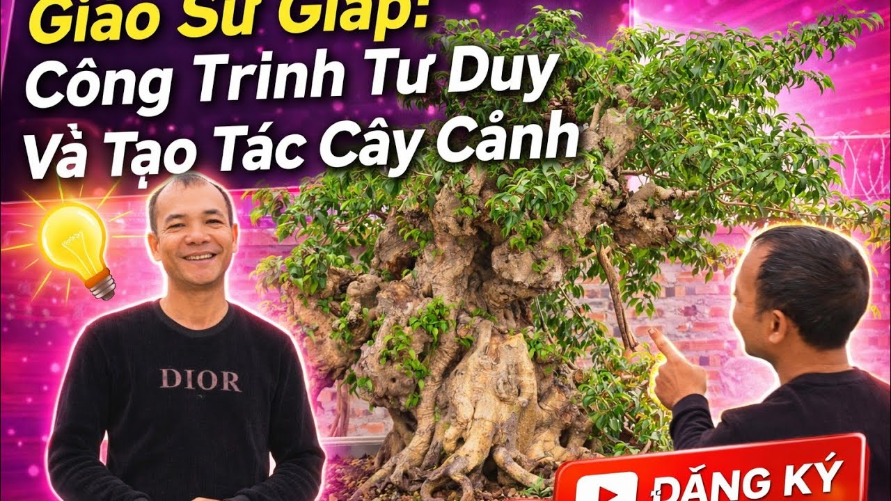 GIÁO SƯ GIÁP - VÀ NHÀ VƯỜN MỚI TOANH VỚI MẨU TIGER ÔNG TRÙM ĐẤT TẠI HÀ ĐÔNG - HN.SĐT. 0984 724 546.
