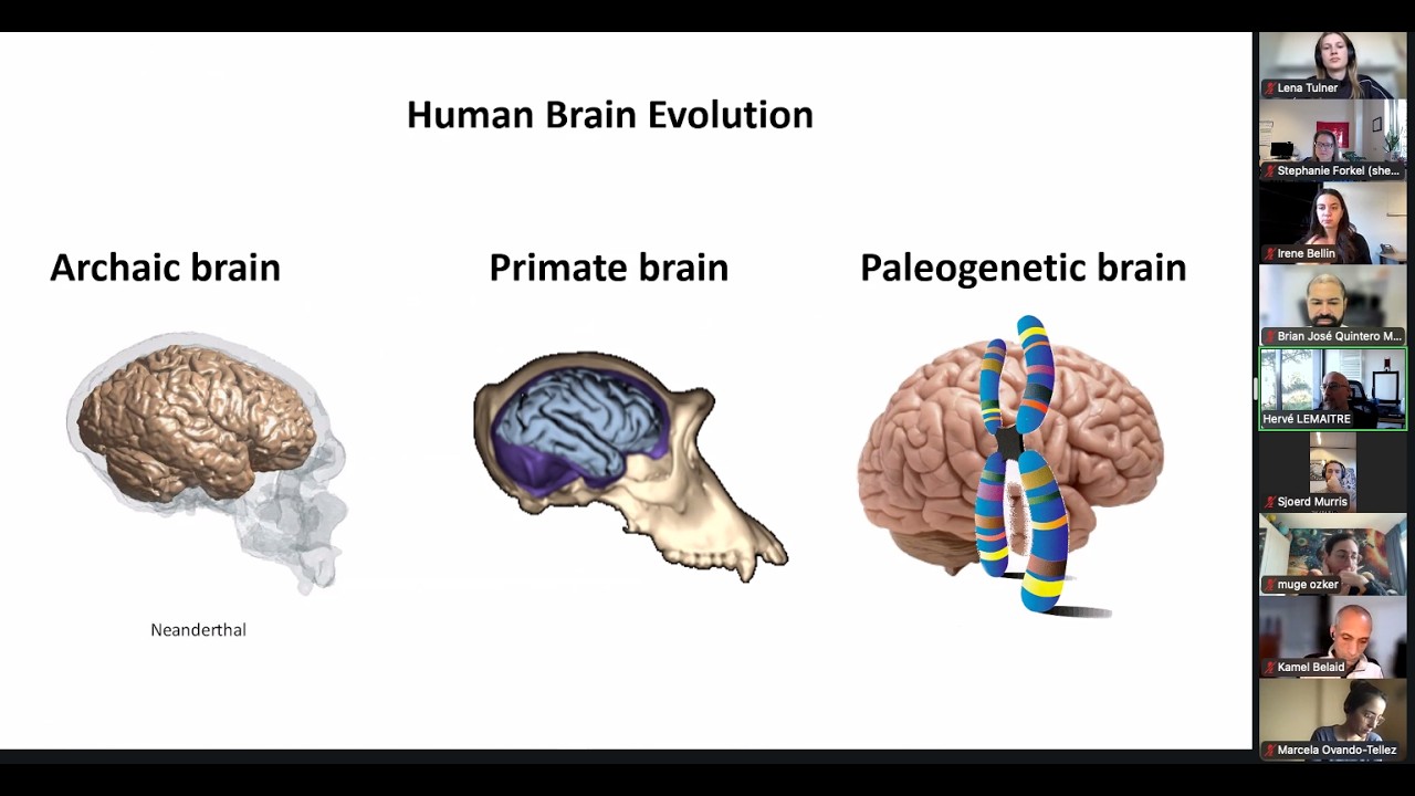 Neuroccino 2nd March 2025 - Brain evolution