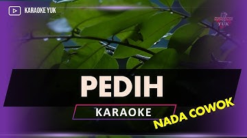 PEDIH KARAOKE NADA COWOK PRIA