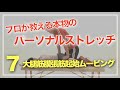 ⑦プロが教える本物のパーソナルストレッチ！トレーナーセラピスト必見！見なきゃ損！