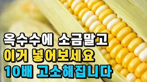 옥수수 삶을 때 소금 뉴슈가 말고 이 한컵 넣어보세요