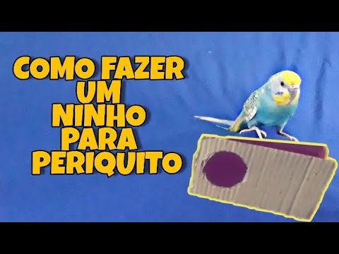 Vídeo: Como Fazer Um Ninho De Periquito