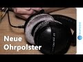 Kopfhörer Ohrpolster tauschen - Beyerdynamic DT 770 Pro [DE]