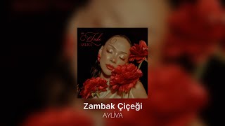AYLİVA - Lilien Türkçe Lyrics