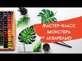 Мастер-класс Монстера акварелью для начинающих