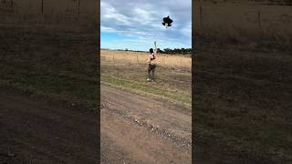 Morning game enjoy 🤟🏻🪁 || like and subscribe guys || #kiteground #kiteflying #viral_shorts ||