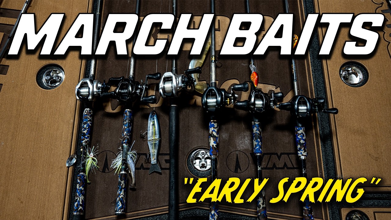 Лучшие приманки на март 2026 года