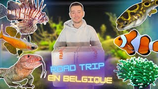 JE VAIS CHERCHER MES POISSONS EN BELGIQUE - ROAD TRIP AU POISSON D'OR, MIKE'S REPTIPARK, FAMIFLORA