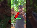 ELE ESTAVA COM A CABEÇA CHEIA DE ABELHAS