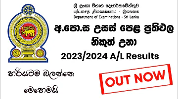 How to Watch AL Exam Results 2024 | 2023/2024 A/L exam results out | 2024 Al results | SL Academy