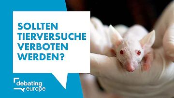 Warum werden Tierversuche nicht verboten?
