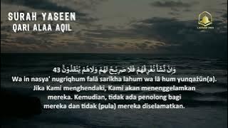 Zikir Menghibur Hati dan Pikiran  Surah Alkahfi Dzikir Pagi Yasin Arrahman Alwaqiah Almulk
