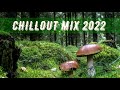 Nature. Forest. Mushrooms. Autumn / Природа, лес, осень, грибы Беларуси (Chillout Mix 2022)